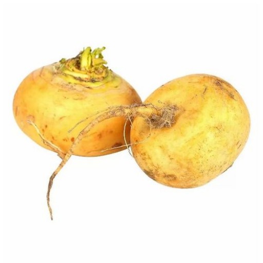 Репа желтая