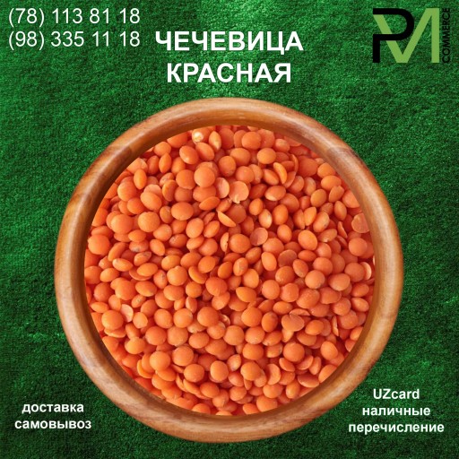 Чечевица красная